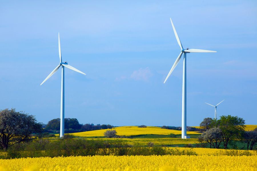 Wind power plant, blue sky, yellow rapeseed fieldllow r
