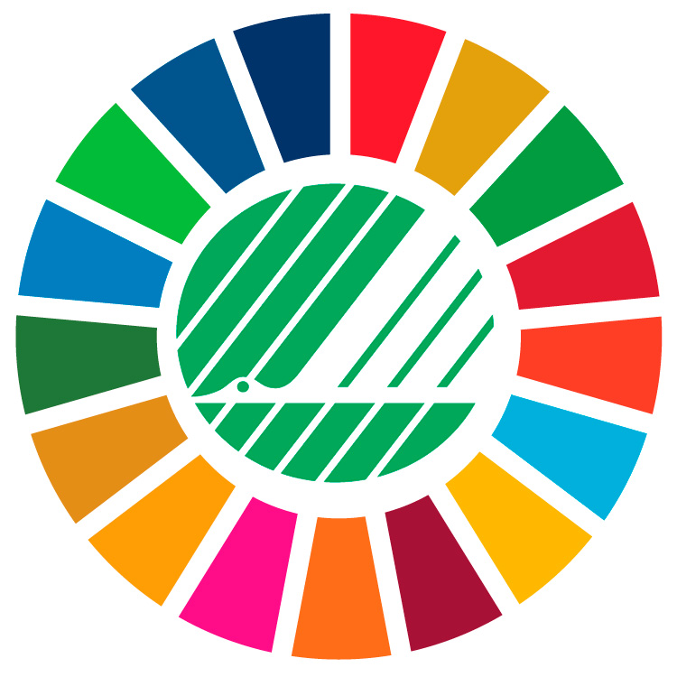 The UN Sustainable Development Goals